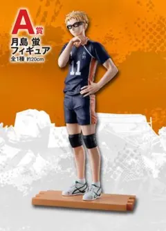 ハイキュー!! 　一番くじ　A賞　月島蛍　フィギュア