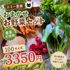 農薬不使用・朝採り野菜セット