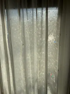 レースカーテン 2枚