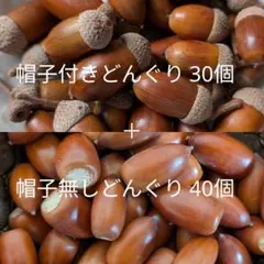 どんぐり70個セット 帽子付き30個 ＋ 帽子無し40個 木ノ実 天然素材