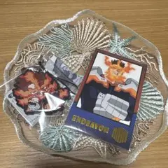 ヒロアカ フォトカード エンデヴァー