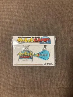 2026年最新】わっしょいcampの人気アイテム - メルカリ