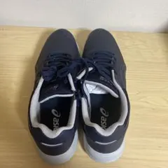 ASICS GEL-FUNWALKER M041 27cm 1291A041