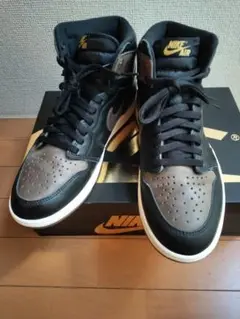Nike Air Jordan 1 Retro High OG Palomino