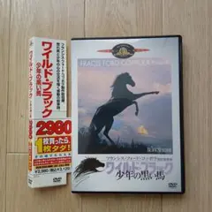ワイルド・ブラック 少年の黒い馬　洋画DVD　【セル版】