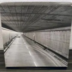 TORTOISE A Lazarus Taxon 3CD + 1DVD 輸入盤