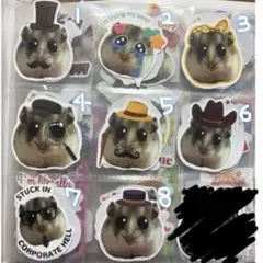 ステッカー　バラ売り　選んで下さい！