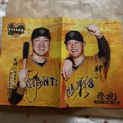 ジャイアンツTOYAMA 2025年オレンジタオル&うちわ