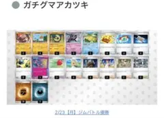 新品✨ジムバトル優勝　ブリジュラスex ガツグマアカツキ　構築済みデッキ　お手頃