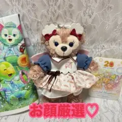 シェリーメイ ぬいぐるみバッジ ウィッシングウィングス ダッフィー 20周年