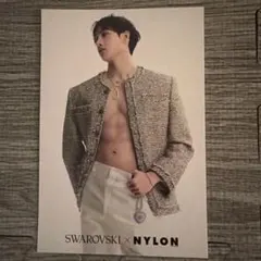 スキズ　Stray Kids バンチャン SWAROVSKI ポストカードのサムネイル