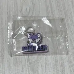 MINITEEN ウォヌ めじるしアクセサリー ガチャ SEVENTEEN