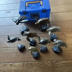 亀フィギュア 8種類