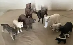 シュライヒ Schleich　北米動物9体　ムース・グリズリー・北極グマ親子など シュライヒ Schleich 北米動物9体 ムース・グリズリー・北極グマ親子