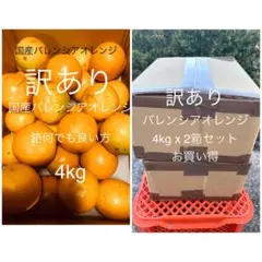 2箱セット贈答用 国産バレンシアオレンジ LL 4kg 和歌山県有田みかん