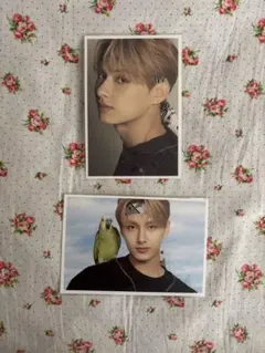 seventeen セブチ　ジュン　D'FESTA ポストカード