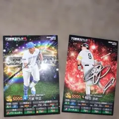 プロ野球チップス　ノーマルカード2枚 未使用