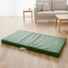 Item thumbnail for item 2aec3018-f354-4c21-ba96-833eeb1965c1