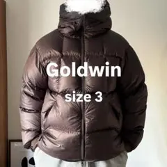 完売品 GOLDWINパーテックスカンタムダウンパーカ ブラウン3 - メルカリ