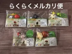 ピクミンチョコエッグ　まとめ売り　画像の５点