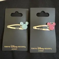 東京ディズニーリゾート ヘアクリップセット