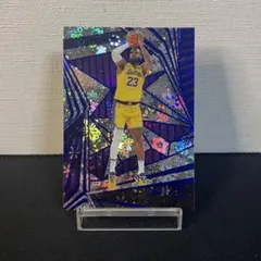 LeBron James Los Angeles Lakers No.88