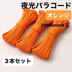 Item thumbnail for item e4876395-86f6-417d-bee0-bf17bdfc9c6d