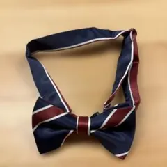 キッズ 蝶ネクタイ ネイビー レッド ストライプ サイズ調節可能 フォーマル