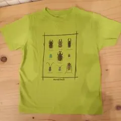 mont-bell 昆虫イラスト Tシャツ 110