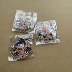 【匿名配送】ぴた！でふぉめ ハイキュー!! アクリルキーホルダー Vol.2