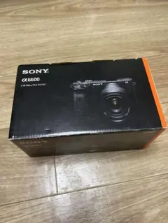 極低2090枚！】SONY α6600 ズームレンズセット ILCE-6600 - メルカリ