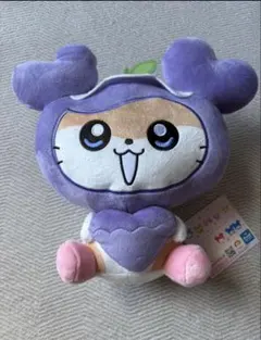 GIGO TWICE LOVERYS サナ ポケットBIGぬいぐるみ サンリオ