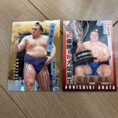 Item thumbnail for item 8daeb89d-944a-4128-9ae4-cdb7133be651