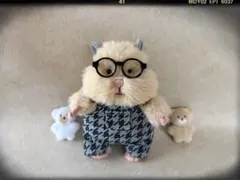 専用ページ】♡季節物sale♡ ※服のみ もっちりはむにぎりぬいぐるみ