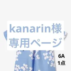 kanarin様ご専用　⭐︎お取り置き中⭐︎