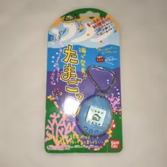 レア 海で発見 たまごっち クリアパープル 紫 人気品 スケルトン