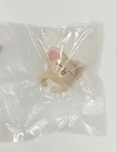 straykids skzoo ぷくっとリング フォクシニー