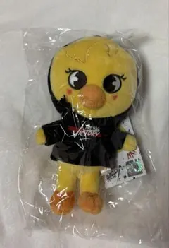 Item thumbnail for item 4b4d90c5-1a20-48ea-b9c0-fc4e7f5fcdd7