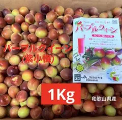 31)パープルクイーン　紫小梅　和歌山県産　梅　果物　旬のサムネイル