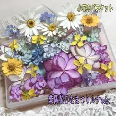 No.24 可愛いお花のマグネット♡固まるハーバリウム3個set 固まるハーバリウム マグネット2個セット〜クラゲ＆蝶々〜 - メルカリ
