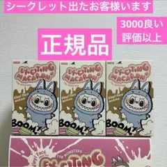 正規品・未開封LABUBU ラブブ EXCITING MACARON 3箱