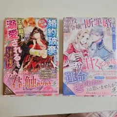 悪役令嬢の断罪婚 溺愛されるまで 2冊セット