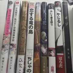BLコミック 9冊セット　値下げ交渉ウェルカム