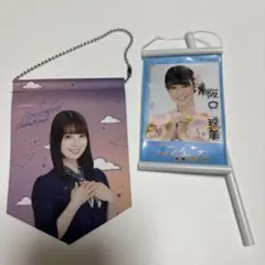 Item thumbnail for item c53609e6-9d9d-4e69-ba67-aec50eb9dac6