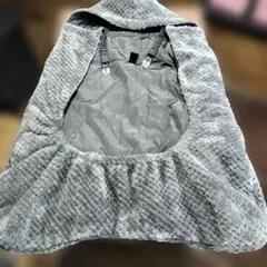 Item thumbnail for item 01ef907e-32ca-48c3-9fad-6617cf83dd6b