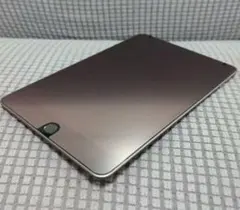 iPad Mini 第5世代 64GB Wi-Fi モデル