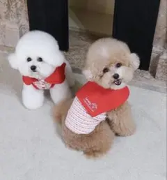 Item thumbnail for item ea98ce91-f04a-4d60-b4a7-78cc282def6a