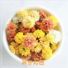 むぎ様 リクエスト 2点 まとめ商品