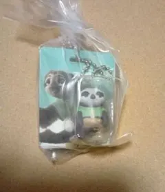 ズートピア　ブリスターチャームコレクション　フラッシュ