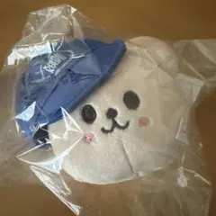 スンミン アイドル